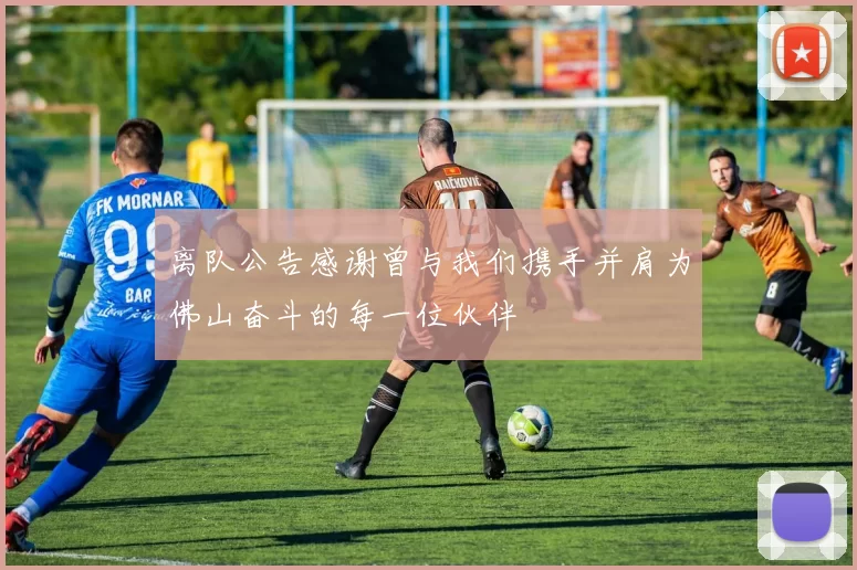离队公告感谢曾与我们携手并肩为佛山奋斗的每一位伙伴