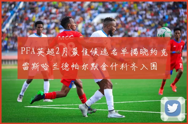 PFA英超2月最佳候选名单揭晓约克雷斯哈兰德帕尔默舍什科齐入围
